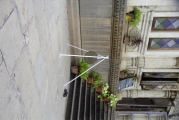 Untitled-Scanned-73.jpg (22135 bytes)